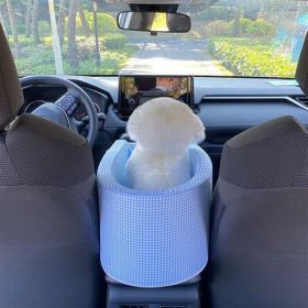 Portable Pet Dog Car Seat Central Control Nonslip Dog Carriers Safe Car Armrest Box Booster Kennel Bed For Small Pets Travel (Option: Plaid Sky Blue)